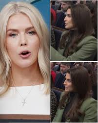 Sheryl Swoopes OFFICIALLY FIRED From ALL 2025 WNBA TV For Spreading Caitlin  Clark LIES She had it all—a Hall of Fame career, a broadcast seat, and  influence. But one name changed everything: