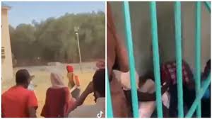 More news for olubunmi afuye » Kano University Apprehends 17 Students Over Harassment Of Female