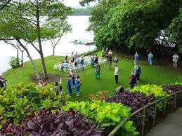 Wanderlust Of The Koguts Hawaii Day 8 Foster Botanical Garden Jen Ken S Wedding 2 14 11 Botanical Gardens Garden Wedding Garden