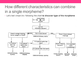 morphology the wordland ppt download