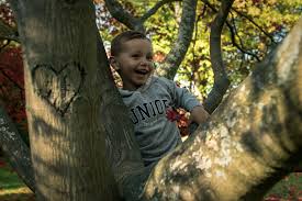 Ein Tolles Herbstshooting Mit Diego Im Japanischen Garten In Leverkusen Foto Kinder Herbstshooting Japanischer Garten