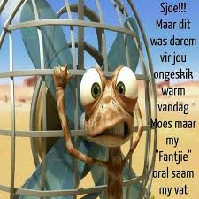 Being in the sun makes everybody lazy and incapable of contemplating about important daily tasks. 25 It S Hot Out There Ideas Afrikaans Quotes Hot Weather Humor Afrikaanse Quotes