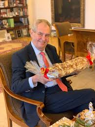 Právě tím, že by benešová mohla chtít zemana ve funkci nahradit. Prezident Zeman Kritizoval Pomalost Soudu Veri Ze Benesova Stav Zlepsi Ceska Justice