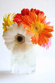 J and the flora shoppe gang check out the new john henry everyday book… and j teaches them how to create a selection from the book, showcasing the best ways. How To Arrange Flowers In A Short Vase Flower Press