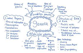 Gudangnya informasi biologi rangkuman biologi tentang substansi genetika. Tips Persiapan Belajar Sbmptn Biologi