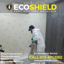 Fleas Control Critical Bandar Bukit Mahkota Flea Control Fleas Bandar