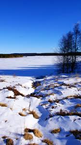 Lac De Charpal En Hiver Lozere Charpal Lake Winter Lozere Paysage Hiver Paysage