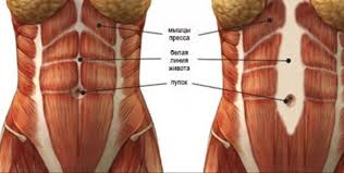 из за чего может болеть живот в области пупка Uprazhneniya Ot Diastaza I Obvisaniya Zhivota Dlya Zhenshin Zdorove I Krasota V Domashnih Usloviyah V 2020 G Uprazhneniya Zdorove Zdorove I Krasota