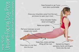 Yoga Tutorial How To Do Upward Facing Dog Pose Yoga By Karina Yoga Tutorial Upward Facing Dog Pose Mountain Pose Yoga