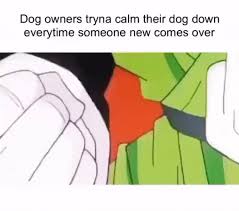 Post yours and see other's reports and complaints. Down Fido Down Dragon Ball Know Your Meme
