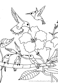 These alphabet coloring sheets will help little ones identify uppercase and lowercase versions of each letter. Printable Hummingbird Coloring Pages Coloringme Com