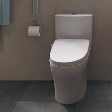 Washlet C100 Elongated Toilet Bidet Seat C200