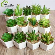 Its roots go deep inside the soil. 1 Pc Small Flower Bonsai Artificial Succulent Pvc Cactus Lotus Plant White Ceramics Flowerpot Home Garden Decoration Artificial Dried Flowers Aliexpress