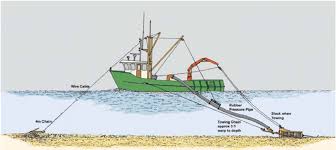 Dredging is the operation of excavating material from a water environment (sometimes temporarily created). 6 A Vessel Conducting Hydraulic Dredging With An Anchor Used To Haul Download Scientific Diagram