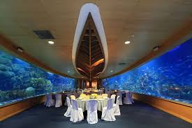 Oceanografic Europe S Largest Aquarium Underwater Restaurant Monumental Architecture Valencia