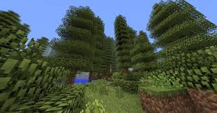 Biomes O Plenty Wiki Biome List Forest Biome Facts About The Forest Biome