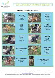 Wollondilly Animal Shelter Is Nearly At Wollondilly Shire Council Facebook