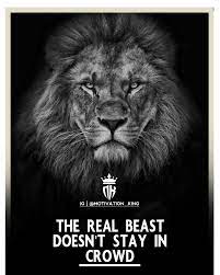 Pin On Lion Inspiraional And Life Quotes Motivation King