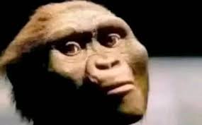 How your sugar daddy sees you after settling issues with his wife.  #fblifestyle