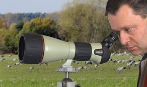 Nikon Fieldscope ED 82 Digiscoping Spektiv Review Tests Vergleich
