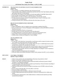team coordinator resume samples