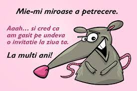 Mesaje de la multi ani! Felicitari Haioase Felicitari Amuzante