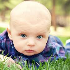 Corinne Vierzba Photography