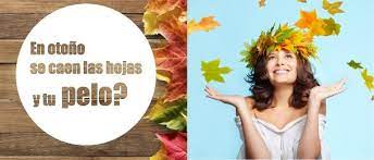 La Caida Del Pelo En Otono