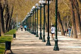 Image result for parque