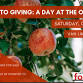 Fall into Giving: A Day at the Orchard event image