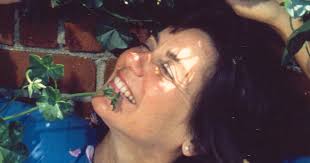 Guest Opinion: A Walk Through Joe Thurston's Virginia Park