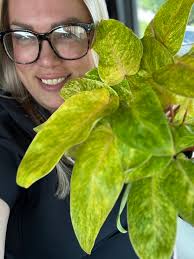 Couldn't get my hands