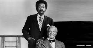 Crowned the queen of comedy or the black que. Remember Aunt Esther From Sanford Son She Had A Sibling Who Also Starred On The Show