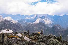 Wildlife in the rwenzori mountains varies with differences in altitude, as well. Why Is Nobody Visiting Africa S Spectacular Secret Summits Adventure Com