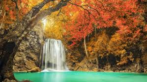 The wallpaper pack contains more than 1000 wallpapers and you can grab them all in a single zip by clicking the link provided below. New Windows Spotlight Wallpaper For You Zipped And Ready To Use Cloudeight Infoave