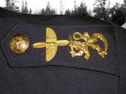 Армейские знаки в петлицах, на пуговицах, фуражках и флагах различных стран мира. ВВС. Часть 6 Авиация,Символизм,Униформа