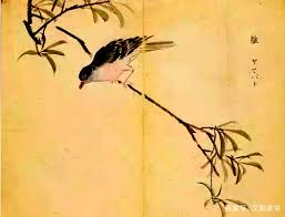 流離食母、鳥盡可夫、鳩佔鵲巢……《詩經》里 ...
