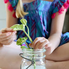 Not only you can give a nice support for the plants but also the plant stand can touch up the front side of your house. Diy Plant Projects Wild Interiors Blog