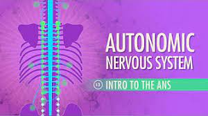 Ati Pharm Made Easy The Neurological System Part 1 Youtube