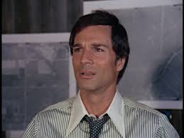 Tributes To Your Favorite Classic TV Stars