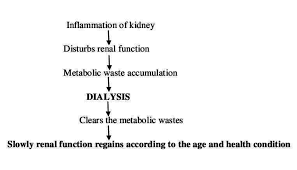 Cureus Dialysis A Review Of The Mechanisms Underlying