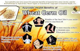 Though wheat germ oil is used on hair, it can also be used on the skin as well as in culinary applications. Therapeutic Properties Of Wheat Germ Oil Essential Oil