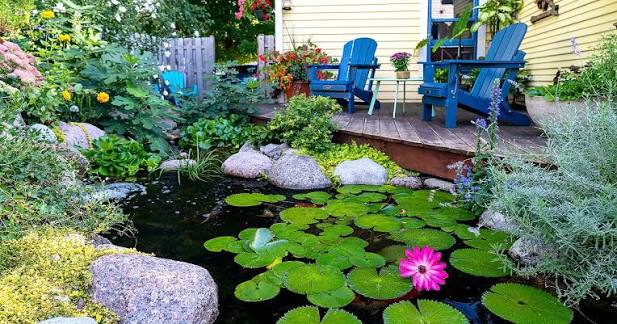 The right planting can completely transform a pond or water garden, adding  colour, texture, and interest throughout the seasons 🌿💧 Sometimes it's  the plants around the pond that make all the difference.