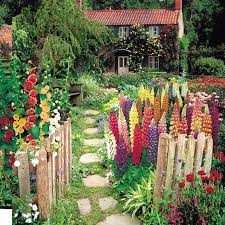 garden 4 cottage garden garden inspiration plants