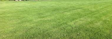 Ratings, reviews and photos from the local customers and articles about advanced lawn care. Advanced Turf Care Llc