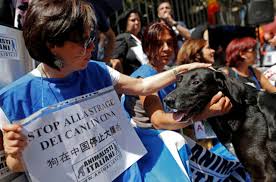 Cin De Vahsetin Simgesi Haline Gelen Geleneksel Kopek Eti Festivali Yulin De Basladi Dunya Haberleri