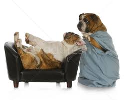 ¿qué es inglés en la consulta veterinaria? Veterinario Atencion Ingles Bulldog Medico Enfermos Foto Stock C Willeecole 3264218 Stockfresh