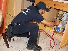 Pest control service plans for your business are entirely customizable to meet your particular needs. Professional Pest Control Exterminators Bug Off Exterminators Exterminator Pest Control Fort Lauderdale Florida Announcement 137987