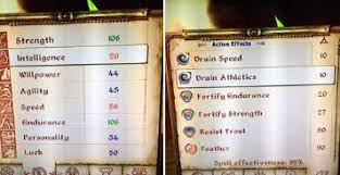 How Do I Fix My Int? These Are My Only Debuffs. : R/Oblivion