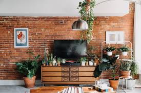 We did not find results for: Brick Wall Plant Heavy Philadelphia Apartment Apartment Therapy